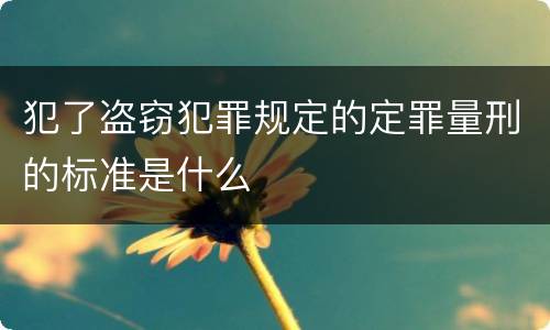 犯了盗窃犯罪规定的定罪量刑的标准是什么