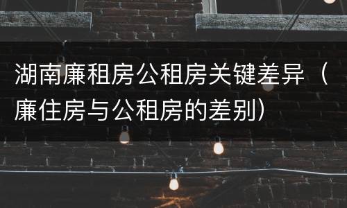 湖南廉租房公租房关键差异（廉住房与公租房的差别）