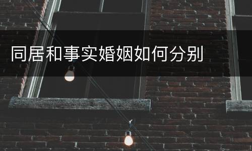 同居和事实婚姻如何分别