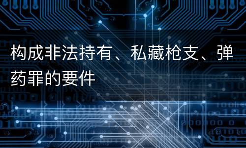 构成非法持有、私藏枪支、弹药罪的要件