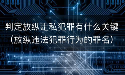 判定放纵走私犯罪有什么关键（放纵违法犯罪行为的罪名）