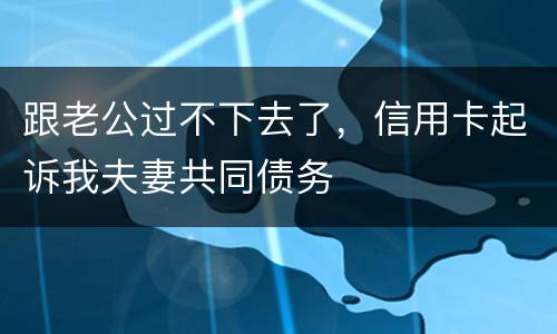 跟老公过不下去了，信用卡起诉我夫妻共同债务