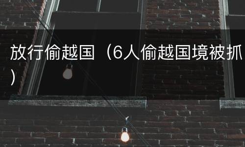放行偷越国（6人偷越国境被抓）