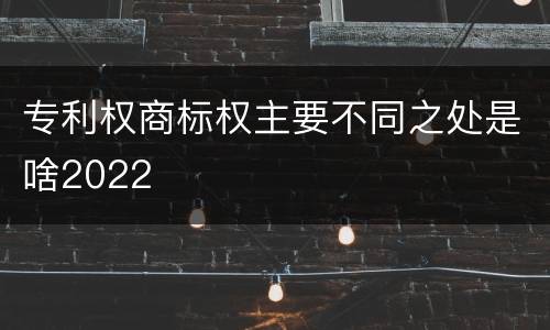 专利权商标权主要不同之处是啥2022