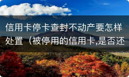 信用卡停卡查封不动产要怎样处置（被停用的信用卡,是否还可以使用?）