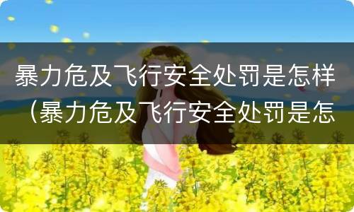 暴力危及飞行安全处罚是怎样（暴力危及飞行安全处罚是怎样的）