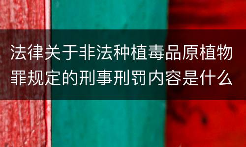 法律关于非法种植毒品原植物罪规定的刑事刑罚内容是什么