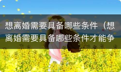 想离婚需要具备哪些条件（想离婚需要具备哪些条件才能争取到孩子的抚养权）