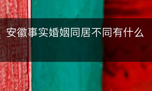 安徽事实婚姻同居不同有什么