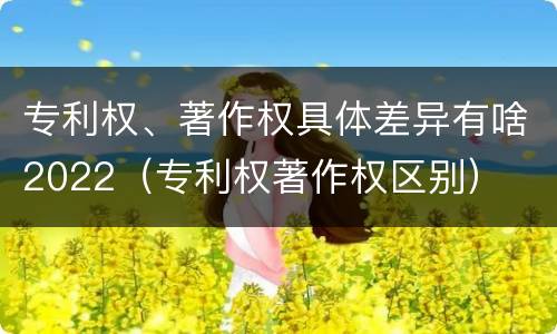 专利权、著作权具体差异有啥2022（专利权著作权区别）