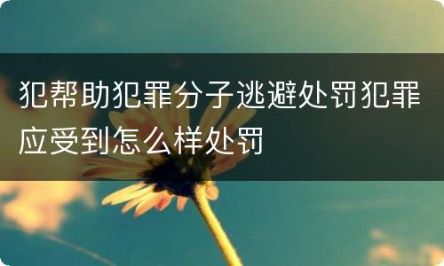 犯帮助犯罪分子逃避处罚犯罪应受到怎么样处罚