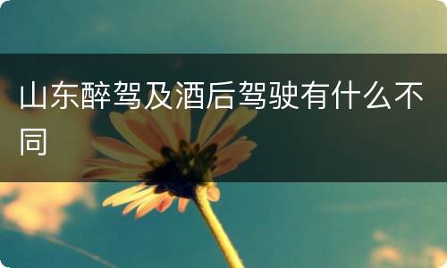 山东醉驾及酒后驾驶有什么不同