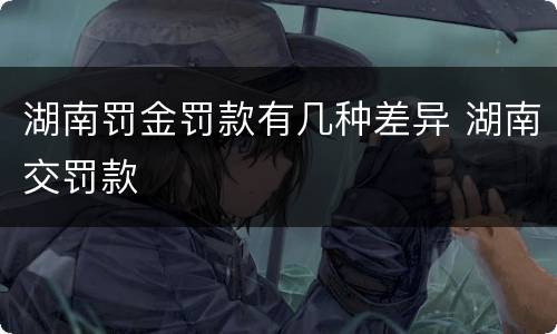 湖南罚金罚款有几种差异 湖南交罚款
