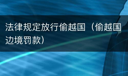 法律规定放行偷越国（偷越国边境罚款）