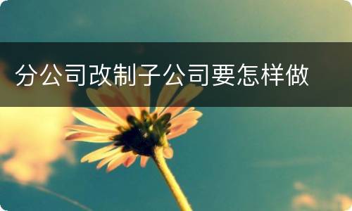 分公司改制子公司要怎样做