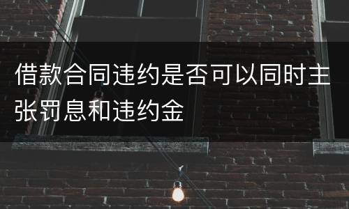 借款合同违约是否可以同时主张罚息和违约金