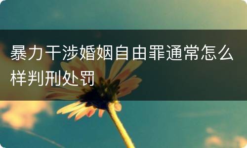 暴力干涉婚姻自由罪通常怎么样判刑处罚