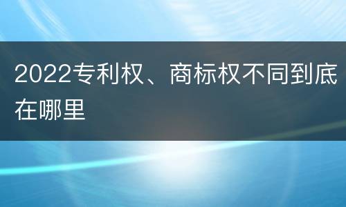 2022专利权、商标权不同到底在哪里