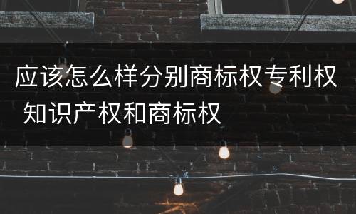 应该怎么样分别商标权专利权 知识产权和商标权