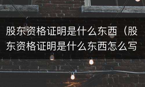 股东资格证明是什么东西（股东资格证明是什么东西怎么写）