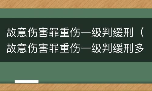 故意伤害罪重伤一级判缓刑（故意伤害罪重伤一级判缓刑多久）