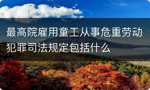最高院雇用童工从事危重劳动犯罪司法规定包括什么