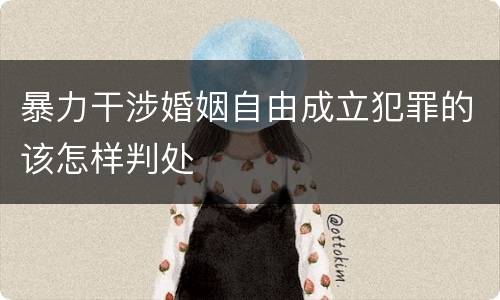 暴力干涉婚姻自由成立犯罪的该怎样判处
