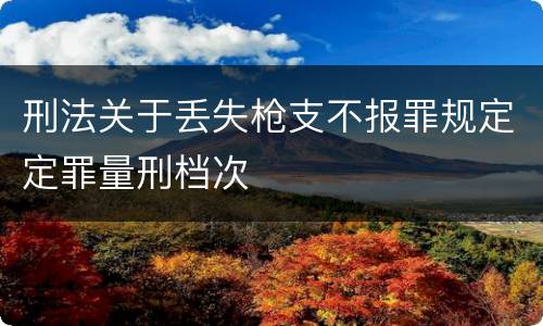 刑法关于丢失枪支不报罪规定定罪量刑档次