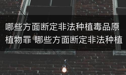 哪些方面断定非法种植毒品原植物罪 哪些方面断定非法种植毒品原植物罪的认定