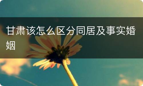 甘肃该怎么区分同居及事实婚姻