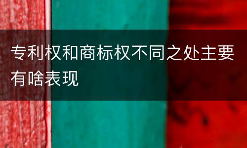 专利权和商标权不同之处主要有啥表现
