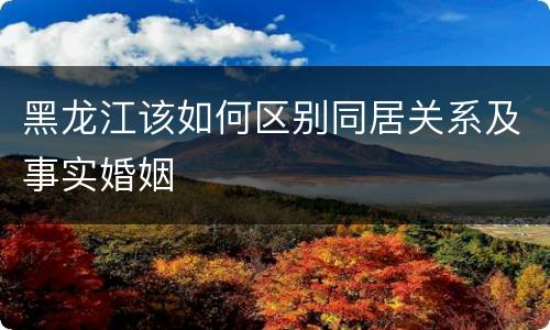 黑龙江该如何区别同居关系及事实婚姻