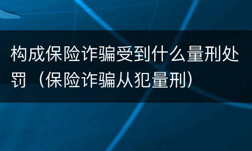 构成保险诈骗受到什么量刑处罚（保险诈骗从犯量刑）