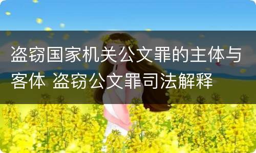 盗窃国家机关公文罪的主体与客体 盗窃公文罪司法解释