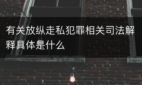 有关放纵走私犯罪相关司法解释具体是什么