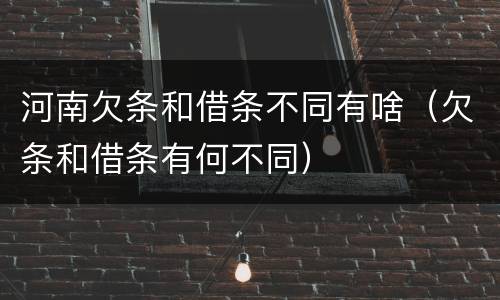 河南欠条和借条不同有啥（欠条和借条有何不同）