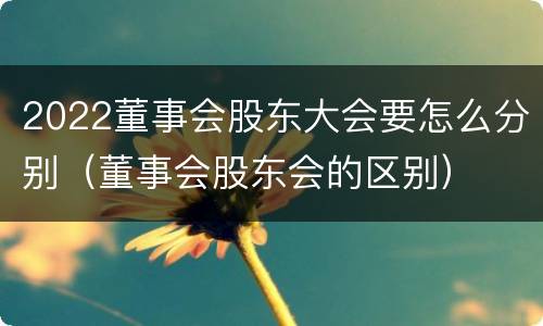 2022董事会股东大会要怎么分别（董事会股东会的区别）