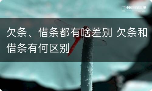 欠条、借条都有啥差别 欠条和借条有何区别