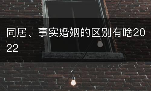 同居、事实婚姻的区别有啥2022