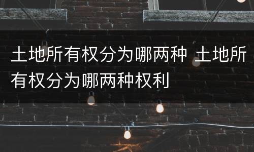 土地所有权分为哪两种 土地所有权分为哪两种权利
