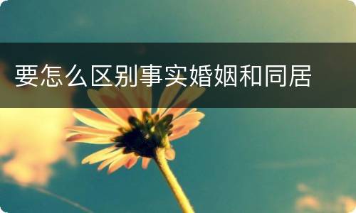 要怎么区别事实婚姻和同居