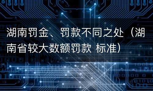 湖南罚金、罚款不同之处（湖南省较大数额罚款 标准）