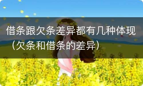 借条跟欠条差异都有几种体现（欠条和借条的差异）