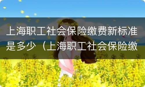 上海职工社会保险缴费新标准是多少（上海职工社会保险缴费新标准是多少钱一个月）