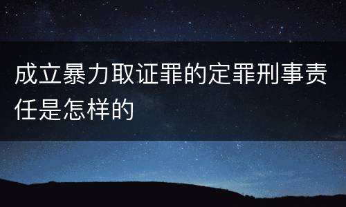 成立暴力取证罪的定罪刑事责任是怎样的