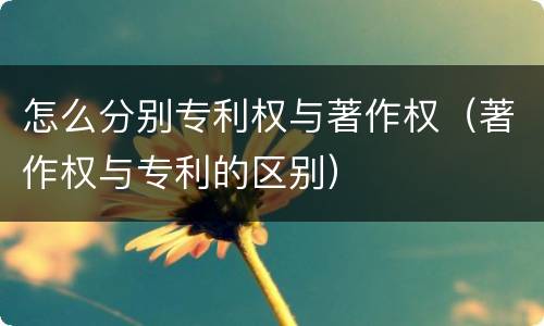 怎么分别专利权与著作权（著作权与专利的区别）