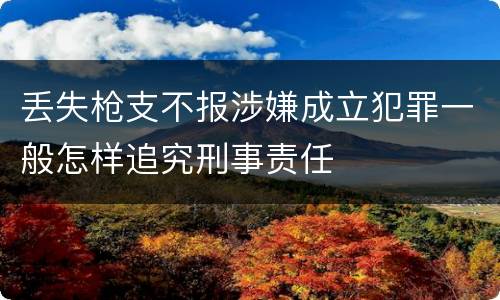 丢失枪支不报涉嫌成立犯罪一般怎样追究刑事责任