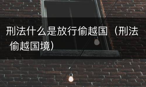 刑法什么是放行偷越国（刑法 偷越国境）
