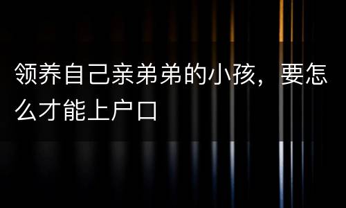 领养自己亲弟弟的小孩，要怎么才能上户口