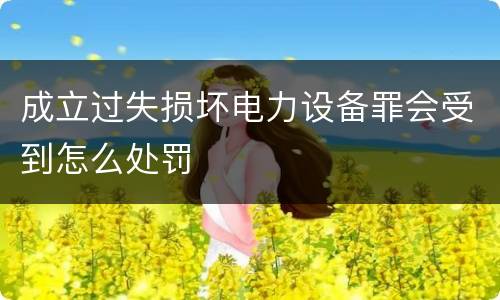 成立过失损坏电力设备罪会受到怎么处罚
